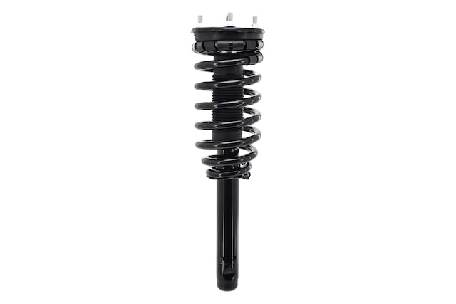 Duralast Suspension Strut and Coil Spring Assembly LS33-81711B