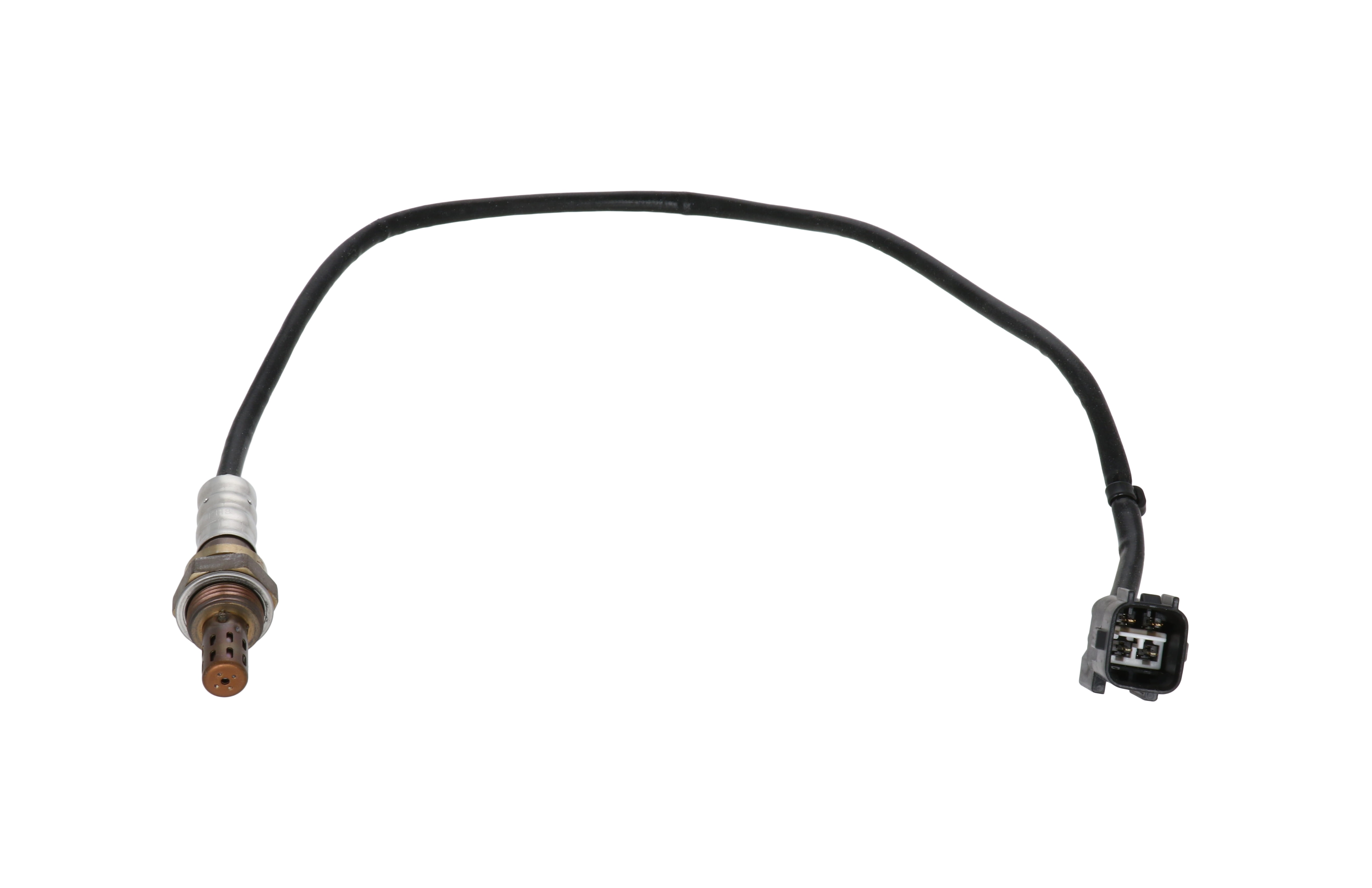 ナオキン ナオキン