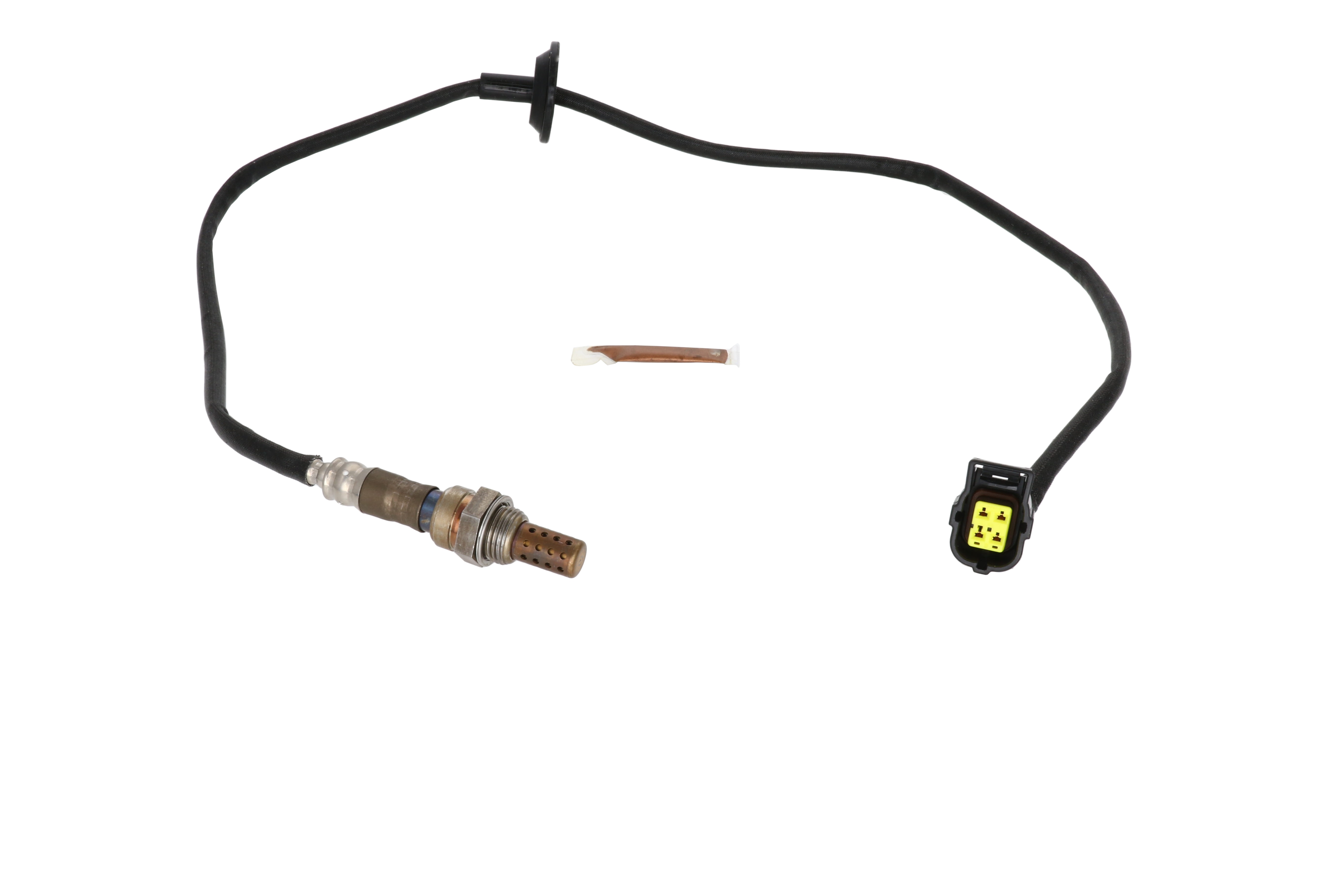 ちょんだろ 25748270_55802604_1000.jpg